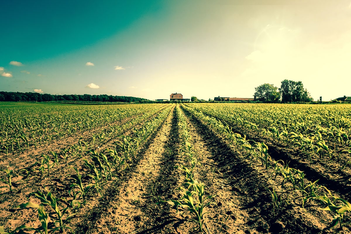 farm-barn-legal-case farm-barn-legal-case